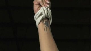 Хармонија - Курва Обука - Full movie